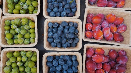 A selection of plums at a farmer's market stand in Marylebone, London. The fruits are: green plums, blue plums, and red plums. Rows of plums sorted in punnets.