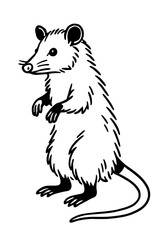 Obraz premium A detailed black and white illustration of a opossum, a North American marsupial, with a long tail, standing on its hind legs. vector illustration
