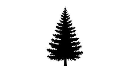 Fototapeta premium Silhouette of a Tall Evergreen Christmas Tree on White Background