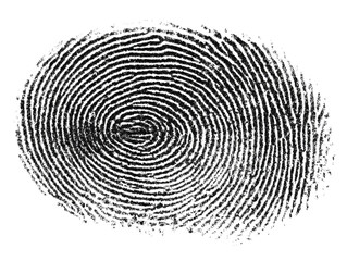 Detailed human fingerprint scan isolated on transparent background