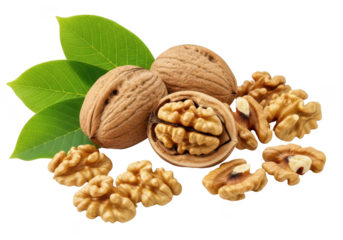 Whole and shelled walnuts with green leaves on background food