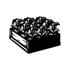 Silhouetted Wood Planter Box Overflowing with Lush Green Foliage and Leaves