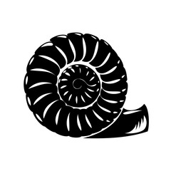 Obraz premium Black and white illustration of an ammonite fossil with intricate details