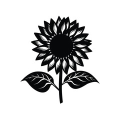 A striking black and white sunflower illustration with detailed petals and leaves