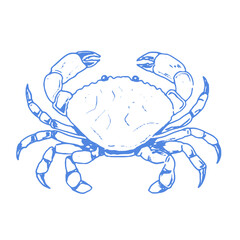 A detailed line art vector illustration of a crab, perfect for ocean-themed designs and summer projects.