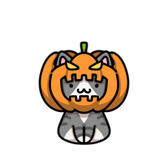 [Halloween Edition] Pumpkin - Tabby cat