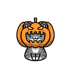 [Halloween Edition] Pumpkin - Tabby cat