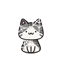 Fototapeta premium [Halloween Edition] Web - Tabby cat