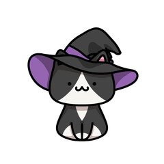 [Halloween Edition] Witch hat - Tuxedo cat