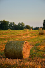 straw bales in the field