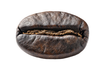 Close-up of a single roasted coffee bean.  Dark brown oval shape, textured surface.  Visible seam runs through the center