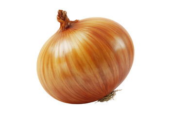 Close-up of a single, whole onion.  Its light brownish-tan skin has prominent,  horizontal ridges.  A small stem is visible at the top