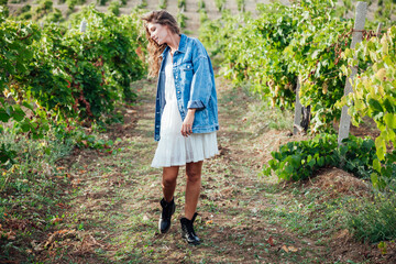 Woman picking grapes in a vineyard nice