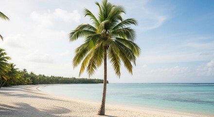 Fototapeta premium Serene Tropical Beach - Palm Tree Silhouette Against Turquoise Sea and Azure Sky.