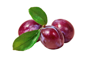 Close-up of three plump, dark-purple plums, with fresh green leaves