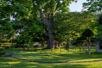 Toyako Sapporo Japan 洞爺湖　北海道　日本