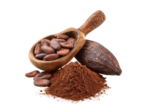 Wooden scoop filled with cocoa beans next to cocoa powder and whole cocoa pod image, Isolated, Png Transparent Background
