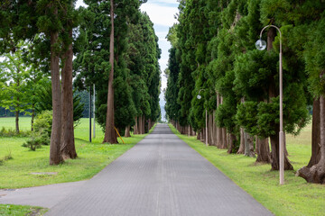 The Hakodate Trappist Hokkaido Japan 函館　トラピスト修道院 函館　北海道