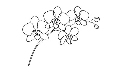 Simple continuous line drawing of orchid flower for minimalist designs