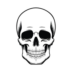 Black and white human skull front view illustration