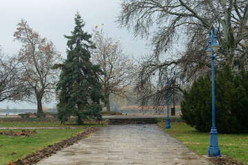 A tranquil scene of a park pathway leading to a lake in Balaton, Hungary.