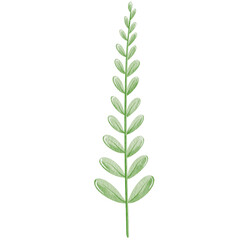 Watercolor cute leaves illustration.