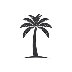Dark silhouette of a palm tree on white tropical nature