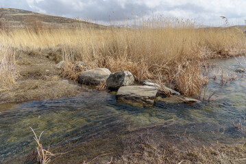 Calm River Flow with Stones and Golden Dry Reeds Creating a Peaceful Autumn Atmosphere.
