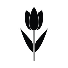 Obraz premium Black tulip silhouette with stem and leaves flower white