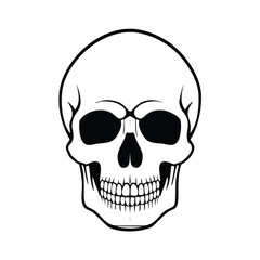 Human skull frontal view black outline bone anatomy