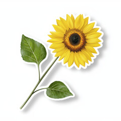 Obraz premium Bright sunflower with green leaves, perfect for decoration or design projects, radiating warmth and positivity