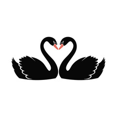 Two black swans forming a heart shape with coral beaks love romance