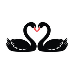 Fototapeta premium Two black swans forming a heart shape with pink beaks love romance