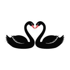 Two black swans forming a heart shape with red beaks love romance