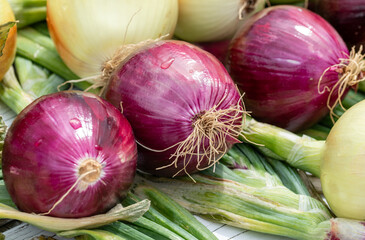 red and white onions