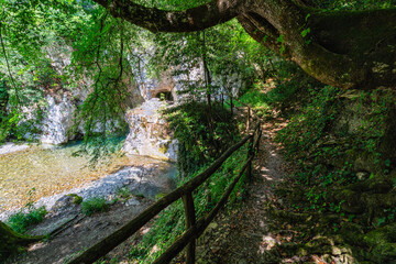 Resurgence of Sammaro River on a sunny summer day. Near Roscigno, in Cilento National Park, Campania, Italy