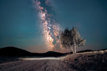 A lone tree along a dirt road with the Milky Way over the historic Pony Express Trail in Utah's West Desert