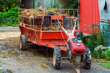 Old tractor loaded with hay in black plastic basket. Hay bales on trailer in farm field. Old farm wagon with straw bales stacked in livestock farming. Pile of straw bales on the old tractor trailer.