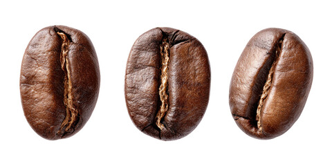 Three coffee beans, close-up
