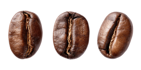 Three coffee beans, close-up
