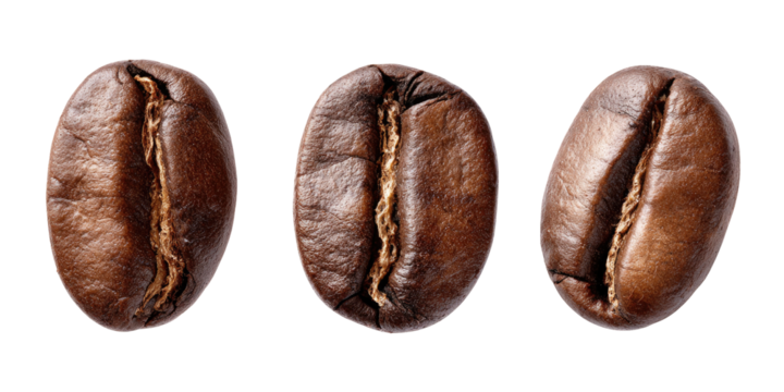 Three coffee beans, close-up