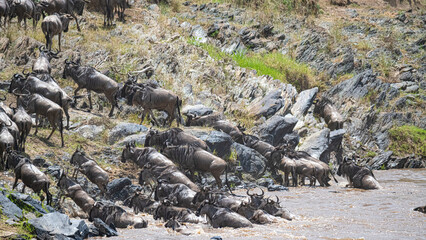 Faszinierende Landschaften und Tierwelten der Masai Mara, Kenia