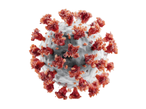 Microscopic spherical virus with red spikes and grey body image, Isolated, Png Transparent Background