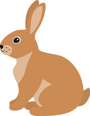 vector illustration of a rabbit