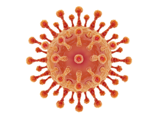 Orange spiky microscopic organism with central nucleus and radiating appendages virus biology, Isolated, Png Transparent Background