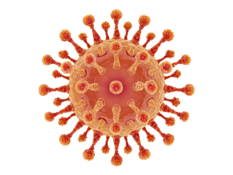 Orange spiky microscopic organism with central nucleus and radiating appendages virus biology, Isolated, Png Transparent Background
