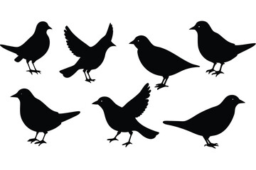 Collection of Seven Black Bird Silhouettes in Various Poses Against a White Background