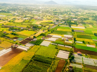 Fototapeta na wymiar Aerial photo of greenhouses and cultivated fields near countryside homes. Agricultural productivity, rural infrastructure, and sustainable land use in summer landscape.