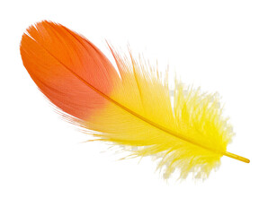 Fototapeta premium Colorful Feather with Orange to Yellow Gradient, Realistic Illustration, Isolated on Transparent Background