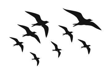 Silhouette Illustration of Eight Seagulls in Flight Against a White Background, Free